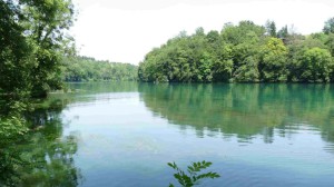Der Rhein bei Jestetten
